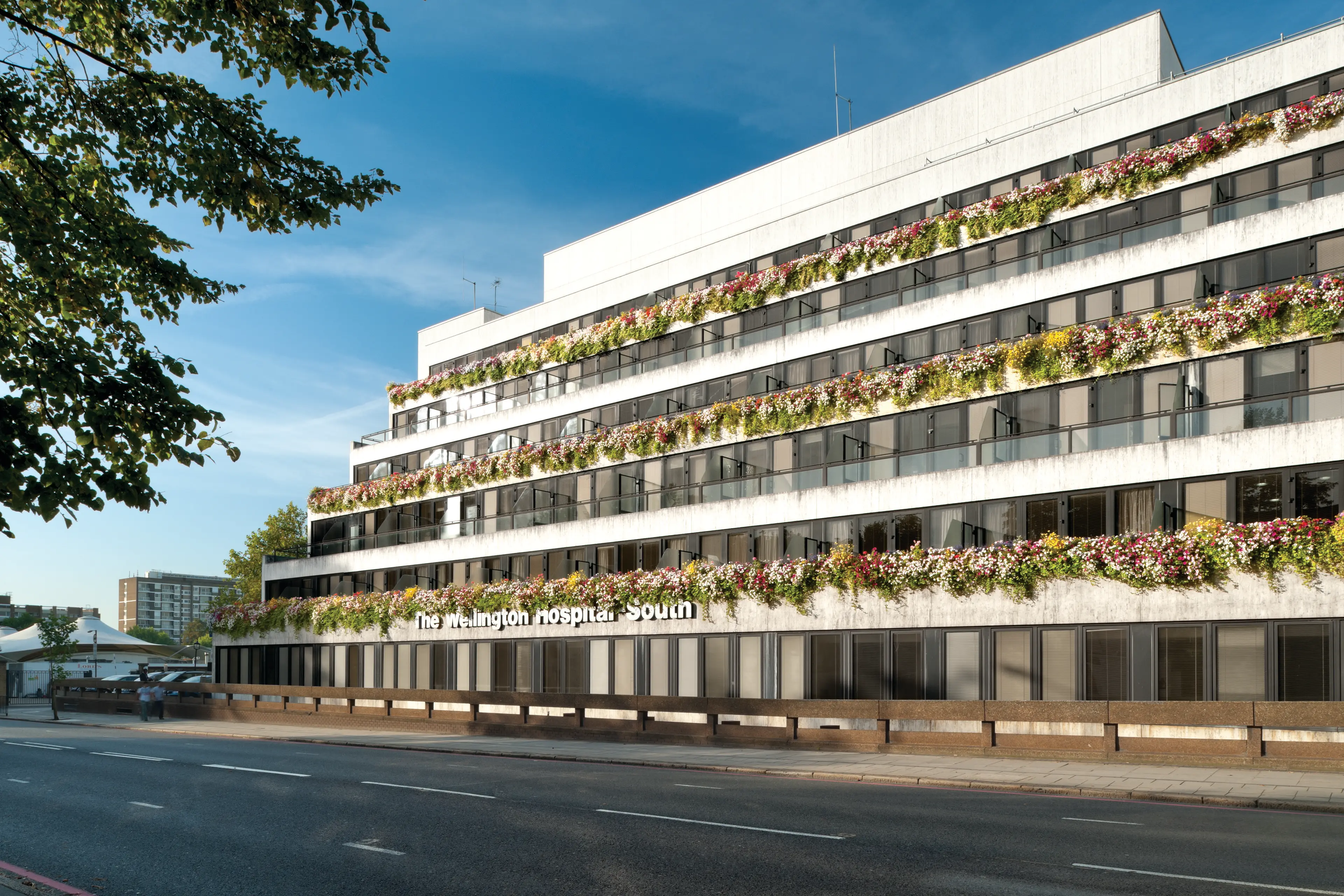 HCA Wellington Hospital